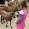 izxlka_live