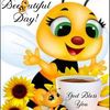 betysmall