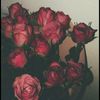 habeba.mostafa095