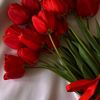 www.tiktok.comrachalmoms