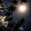 deepfeelings225