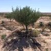 hamdi.hamdi066