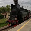 pingwinek.mk