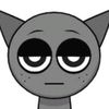 .gray65