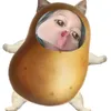 hocquan1