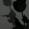 saul.pp47_