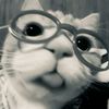 vanne_ta22