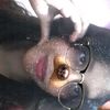 fofi._22_