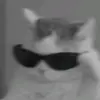 shophy_0