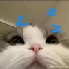 khongaingoaiemcafr10