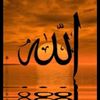 user2585157462346