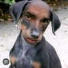 user9610756192316