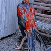 achfauziye_02