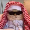 aba_aaeish20