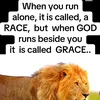 lion.judah33