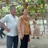 v.lim648