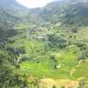 nguyn.chnh773