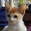arzu38428