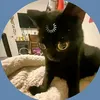 sikibitoilet00