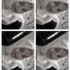 justme_dell21