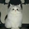 user1818105177210