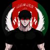 najib.nosrat