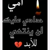 user81473838008450