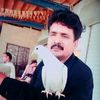 mushtak.ahmad09