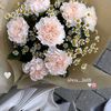 eva_._lin05