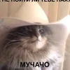 woozzlik