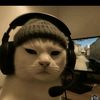 alfan.alfan12