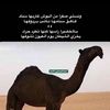 user7750111678026