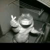 bun.thoen73