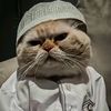 huzaifa__552