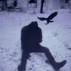 defines_script