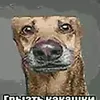 plogt8
