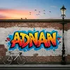 adnan.shekh42