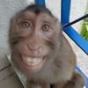 jhon03935