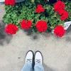 Softlyhaunted