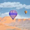 mounirhasan8