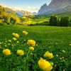 _9inesa9_