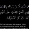 ibrahim.quluzad41