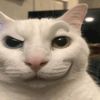 oiluplillol28