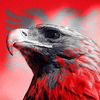 albania.blood04