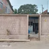 antoniofrancis099