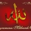 memduh.erdem