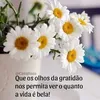margaridamaria5830