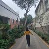 alondxcm