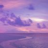 .pascocle_11