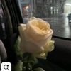 nourssin550